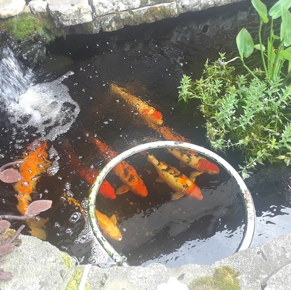 Meet your Posher, Jenni - Picture 1 of 1